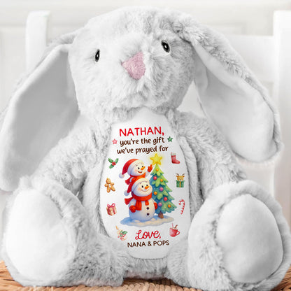You're The Gift I've Prayed For - Personalized Stuffed Bunny